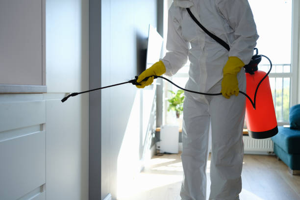 Best Professional Mold Removal  in Thompsonville, PA