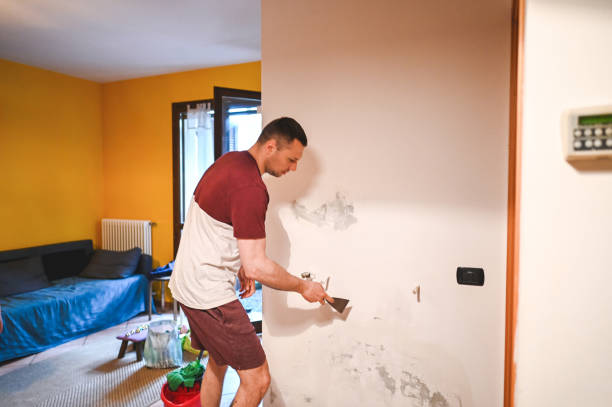 Crawl Space Mold Removal in Thompsonville, PA